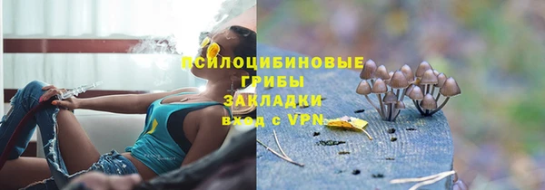 стафф Алзамай