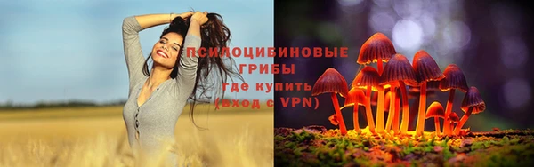 стафф Алзамай