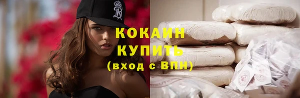 стафф Алзамай