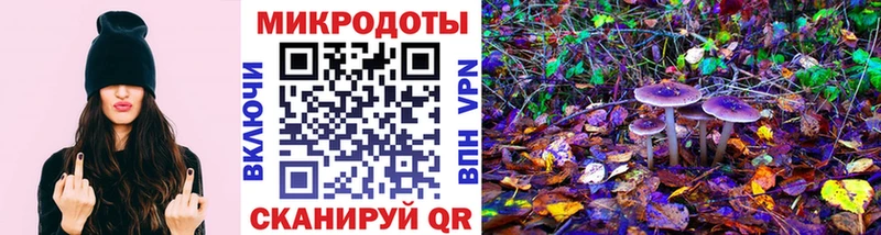 Псилоцибиновые грибы мухоморы  купить наркотики цена  Асино 